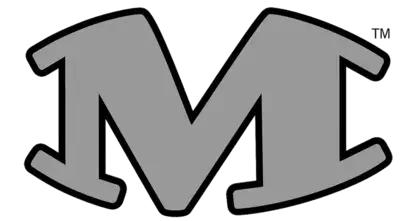 Arlington Martin