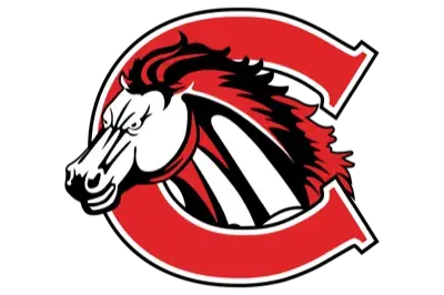 Mustangs