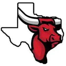Longhorns