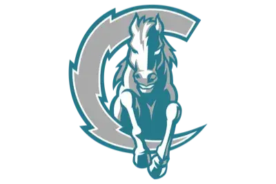 Chargers