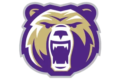 Bears