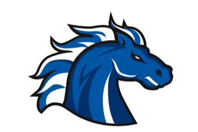 Stallions
